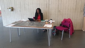 Mapping for Change hired a stall in the foyer in order to display materials and interact with participants in a neutral community space